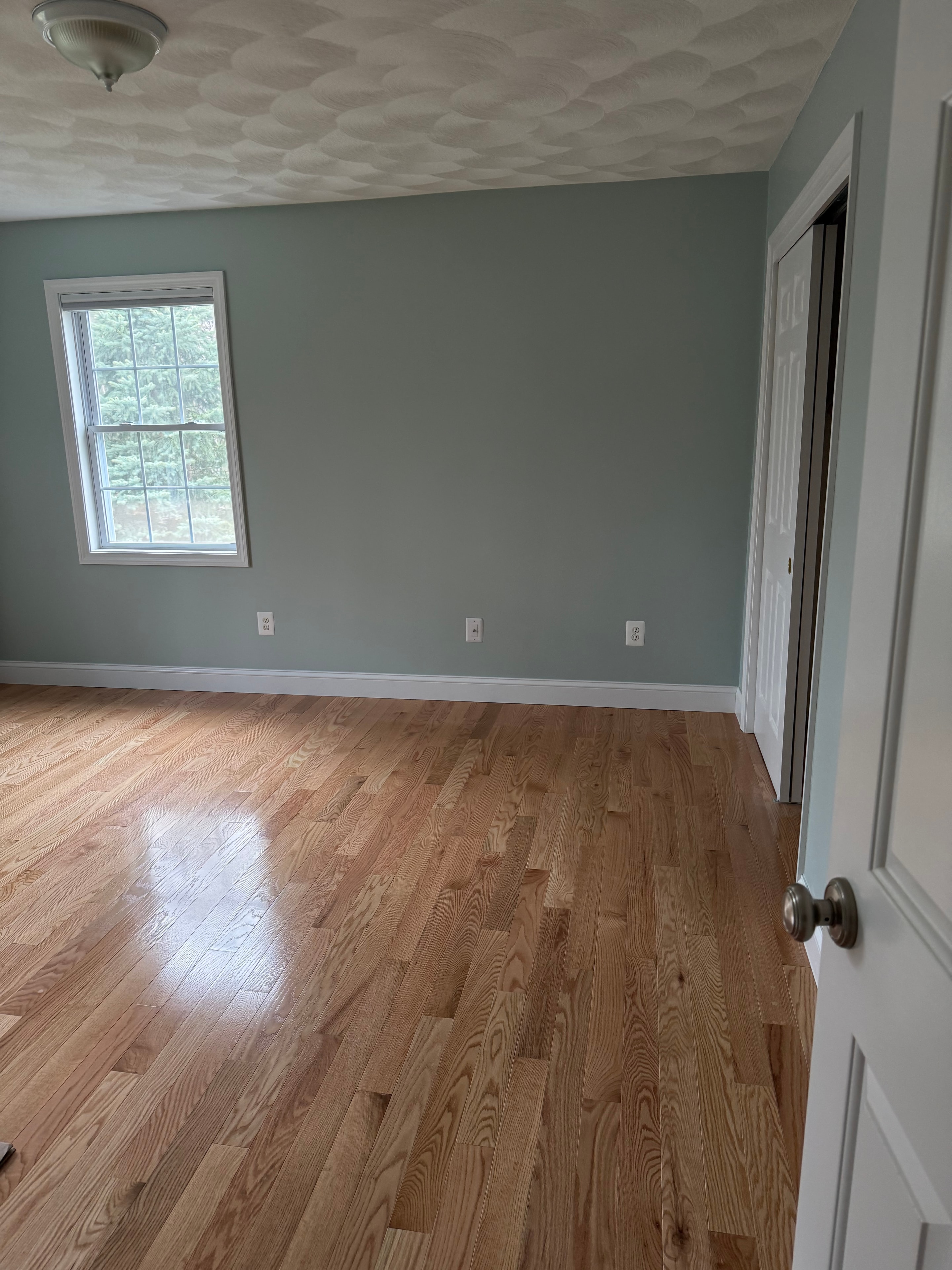 Interior painting project — sage green walls with textured wallpaper